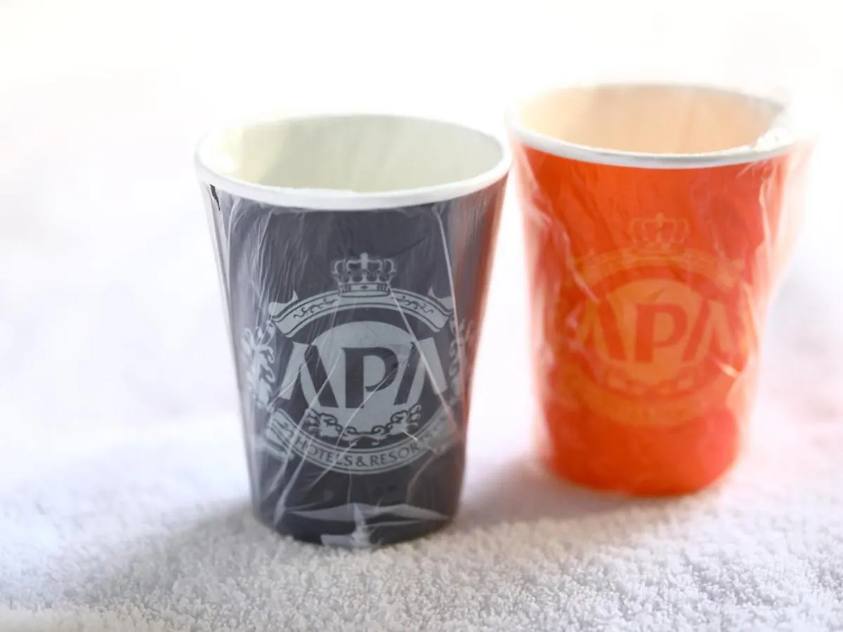 Apa Hotel Tokyo Kudanshita