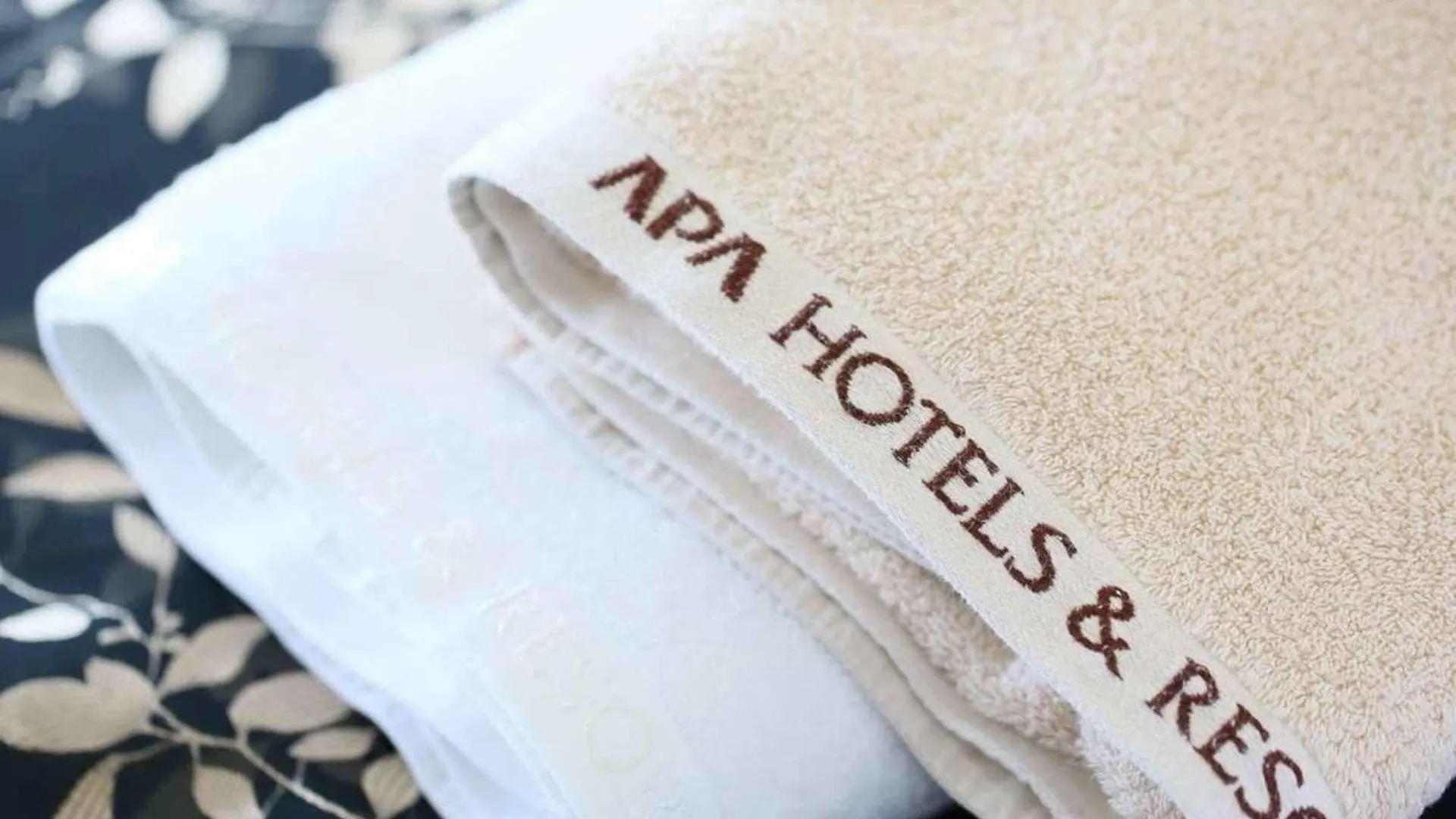 Apa Hotel Tokyo Kudanshita