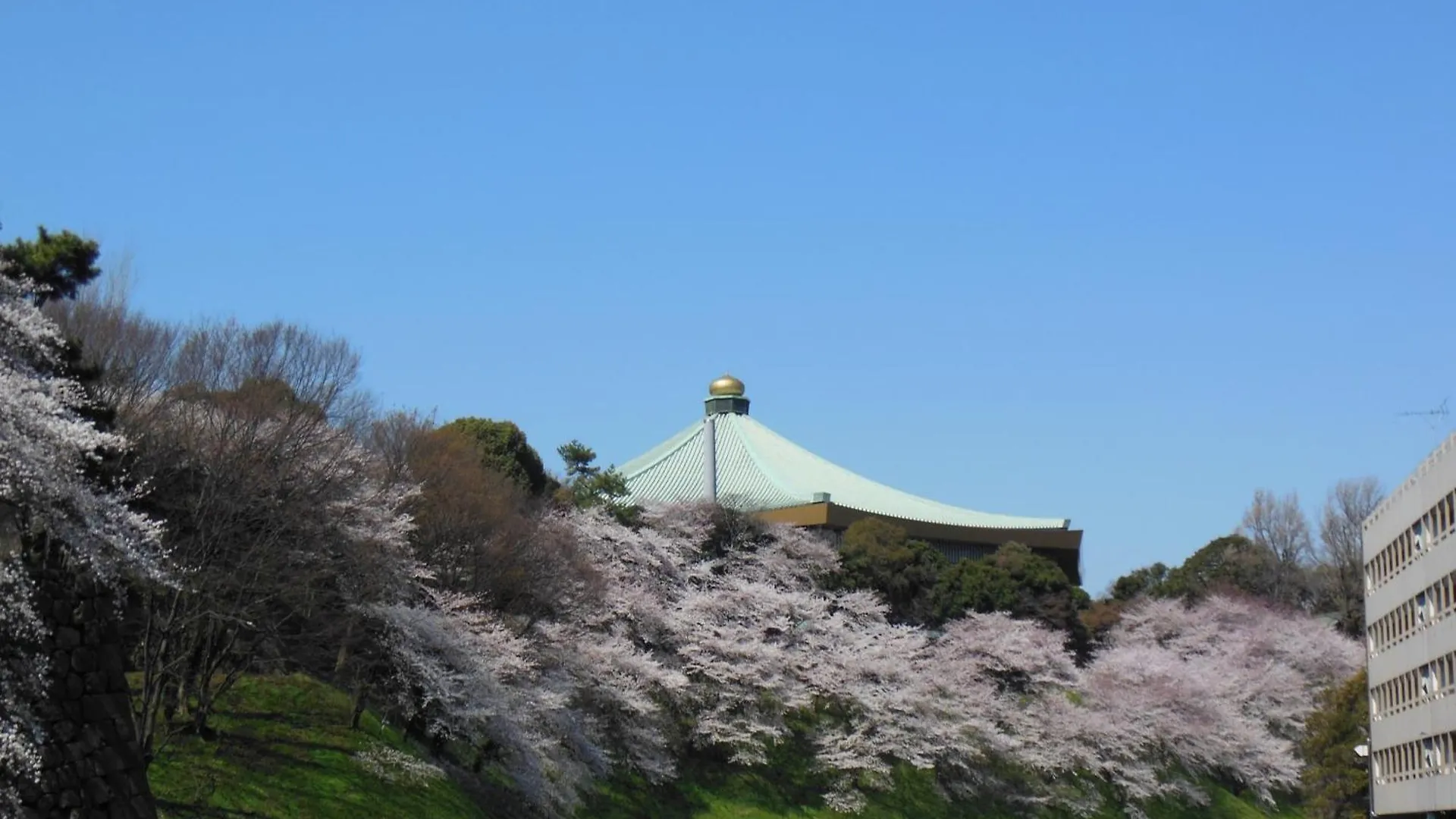Apa Hotel Tokyo Kudanshita 3*,  Япония
