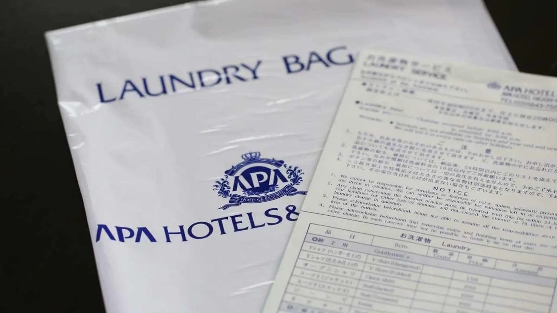 Apa Hotel Tokyo Kudanshita 3*,